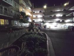 Found/Stray Female Cat last seen Colorado blvd and rear entrance of parking garage, Denver, CO 80222