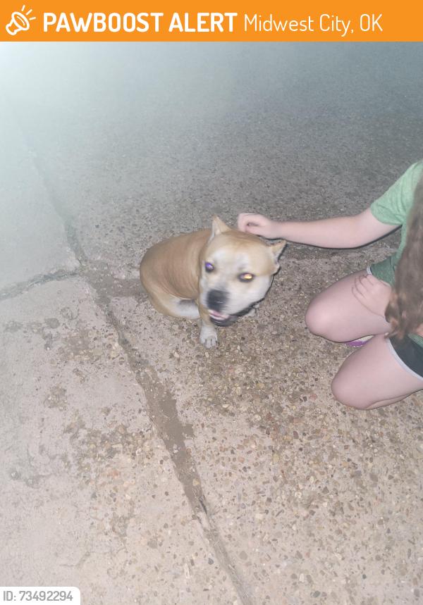 Found/Stray Male Dog last seen Harmony lane, Midwest City, OK 73130