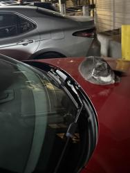 Found/Stray Unknown Cat last seen 4th st, Houston, TX 77007