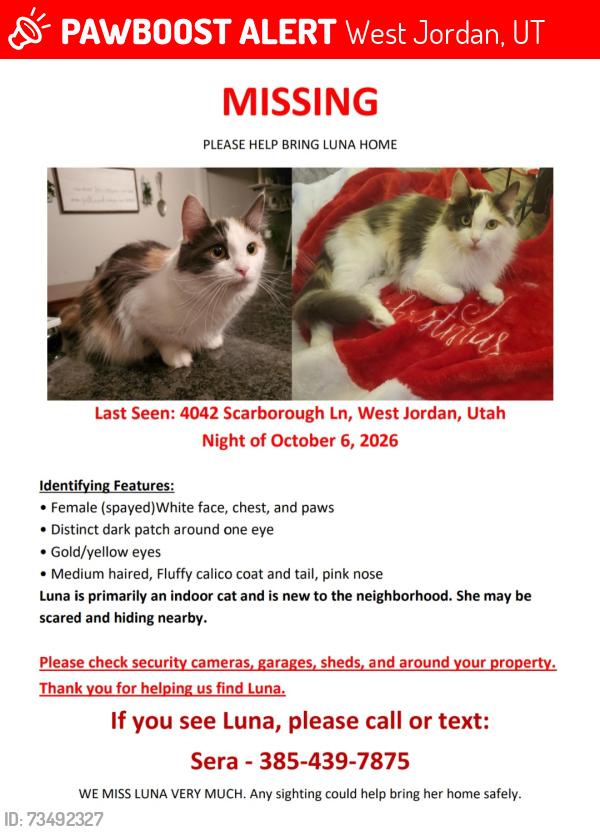 Lost Female Cat last seen Near Scarsborough Ln, West Jordan, UT 84084