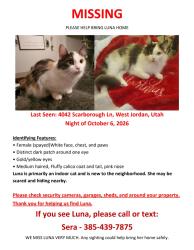 Lost Female Cat last seen Near Scarsborough Ln, West Jordan, UT 84084