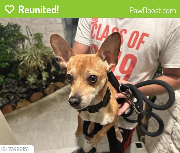 Reunited Male Dog last seen Sutherland Bend Ln, Texas 77469, USA, Fort Bend County, TX 77469