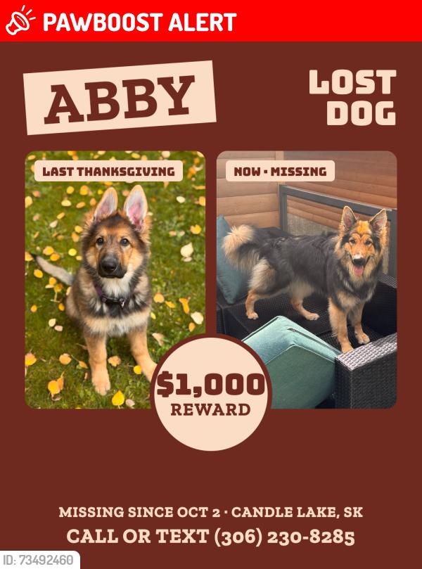Lost Female Dog last seen Aspen Ridge, Candle Lake, SK 