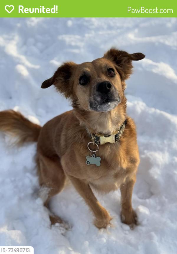 Reunited Female Dog last seen 122nd and Rockwell, Oklahoma City, OK 73142