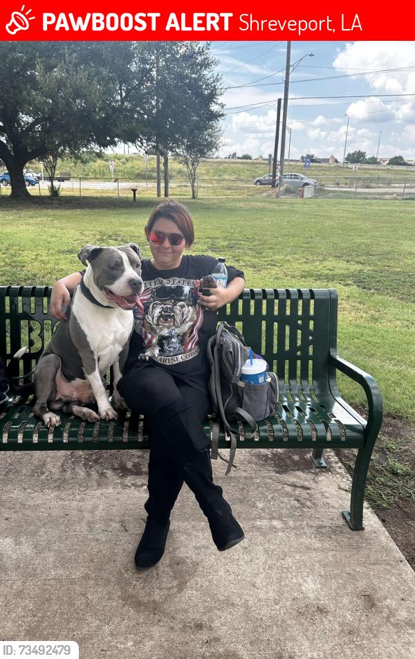 Lost Male Dog last seen Near Monkhouse Dr, Shreveport, LA 71109, Shreveport, LA 71109