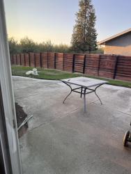 Found/Stray Male Dog last seen Hart Rd. And Clark/Dakota, Modesto, CA 95358