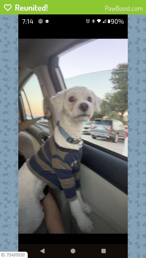 Reunited Male Dog last seen Overly Drive, Lake Dallas, TX 75065