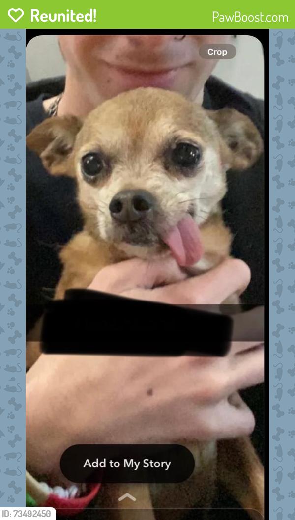 Reunited Female Dog last seen N US HWY 287, W Baseline RD, Lafayette, CO 80026