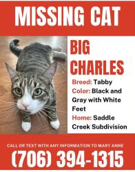 Lost Male Cat last seen Waterford Drive/Saddle Creek Subdivision - Backs up to Camelot neighborhood, Evans, GA 30809