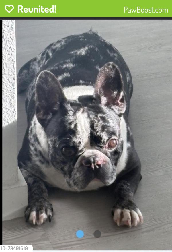 Reunited Male Dog last seen Anniston, Park Row, TX 77493