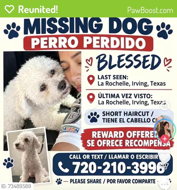 Reunited Male Dog last seen W Rochelle Rd, Irving, TX, USA, Irving, TX 75062