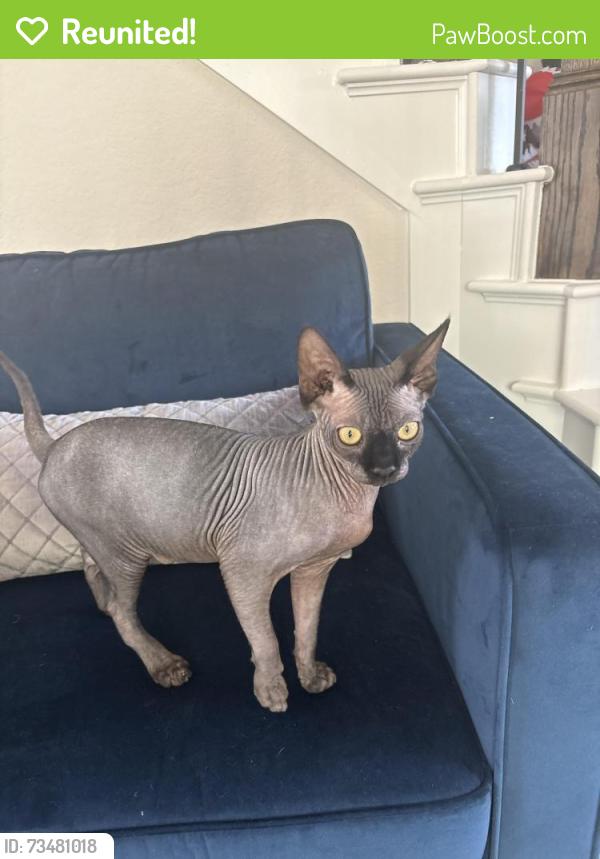 Reunited Male Cat last seen Nichols Pass & Dana Creek, Boerne, TX 78015