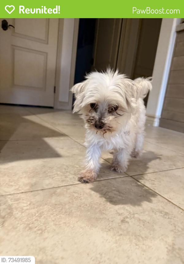 Reunited Unknown Dog last seen Cascade Canyon Dr, Los Angeles, CA 91344, USA, Los Angeles, CA 91344