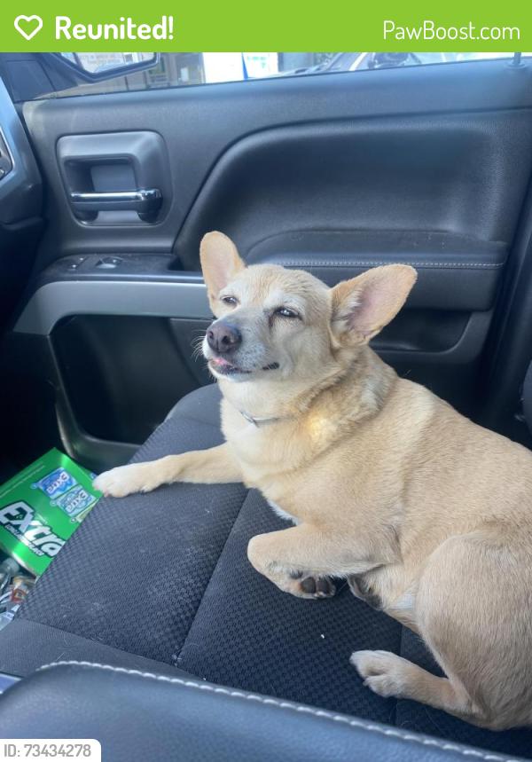 Reunited Female Dog last seen Norwood, Green Bay, WI 54303