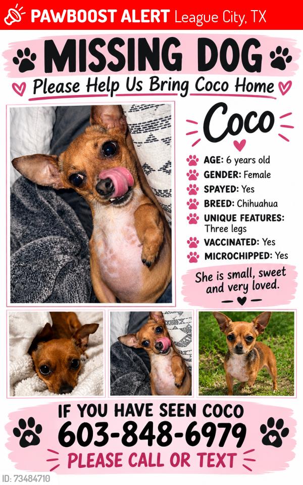 Lost Female Dog last seen Samara League City, League City, TX 77573