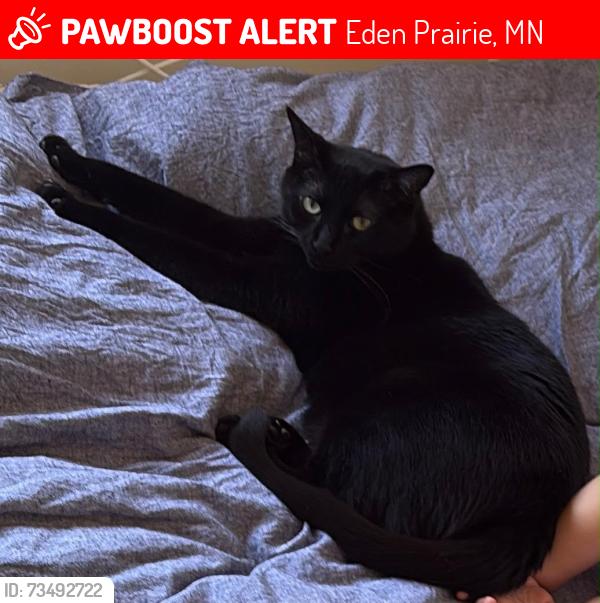 Lost Female Cat last seen Setters way, Eden Prairie, MN 55347