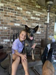 Lost Female Dog last seen Rayne, La close to I-10, Rayne, LA 70578