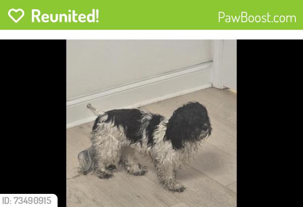 Reunited Unknown Dog last seen Scholar drive, Durham, NC 27703