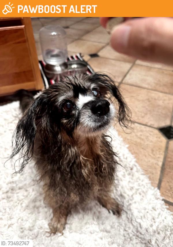 Found/Stray Male Dog last seen Inadale Ave and Northridge Dr, View Park-Windsor Hills, CA 90043