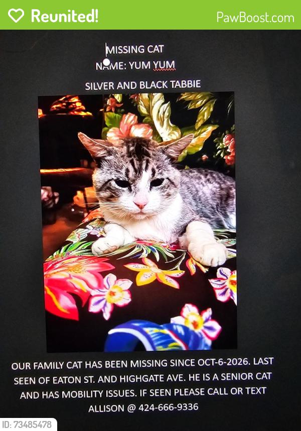 Reunited Male Cat last seen Eaton St. and Highgate Ave., Los Angeles, CA 90042