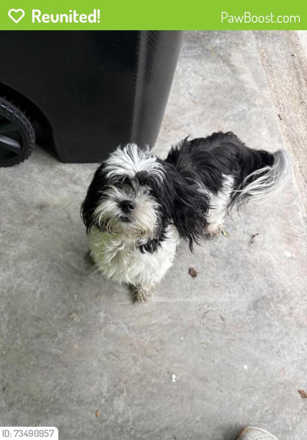 Reunited Unknown Dog last seen Ellis and Scholar Dr, Durham, NC 27703