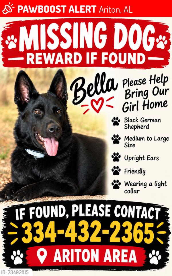 Lost Female Dog last seen Co 51 and 123, Ariton, AL 36311