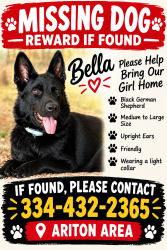 Lost Female Dog last seen Co 51 and 123, Ariton, AL 36311