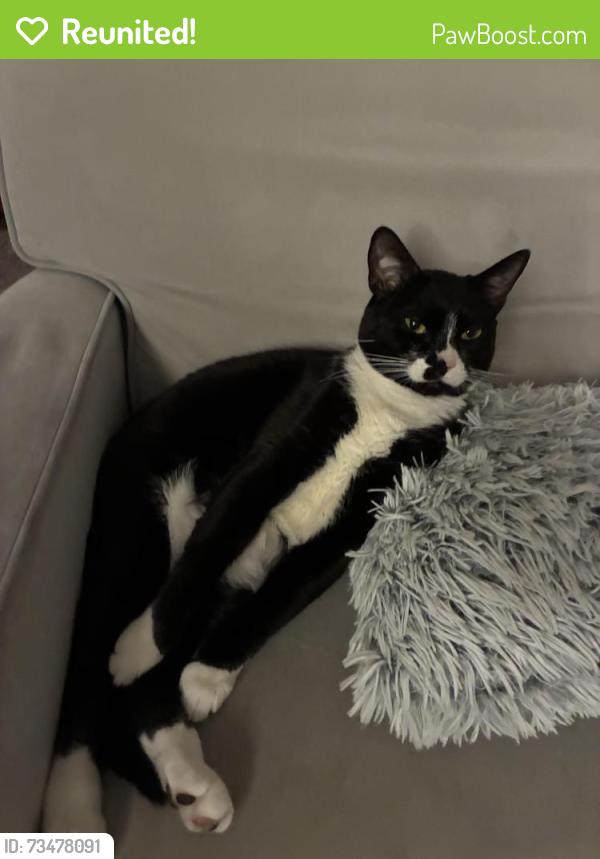 Reunited Male Cat last seen Westlake ace hardware near Rodgers LN, Raleigh, NC 27610