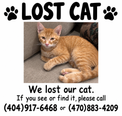 Reunited Male Cat last seen Victory, Los Angeles, CA 91606