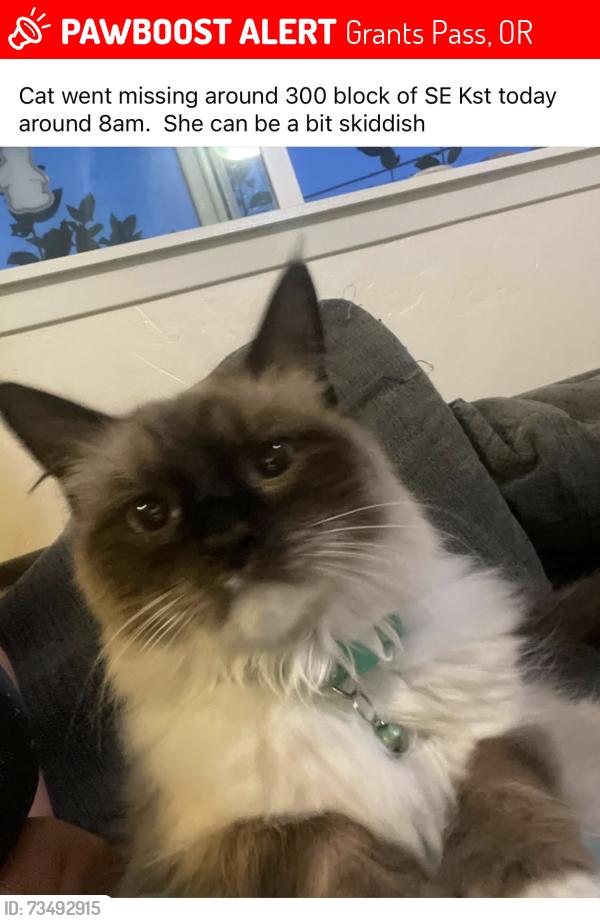 Lost Female Cat last seen 8th st, Grants Pass, OR 97526