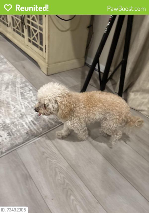 Reunited Unknown Dog last seen Near Temescal Canyon High School, Lake Elsinore, CA 92532