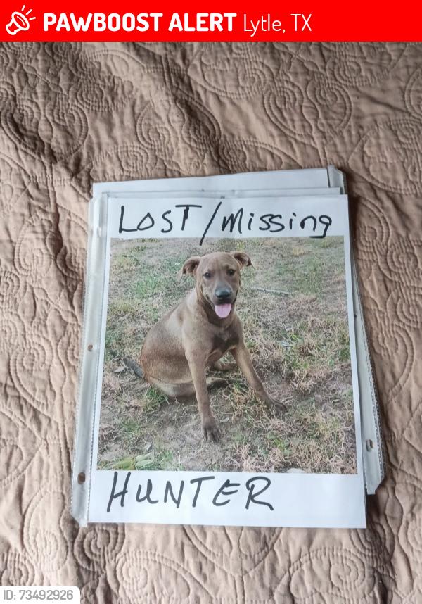 Lost Male Dog last seen County Rd 681, Lytle, TX 78052
