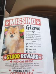Lost Male Dog last seen Elmhurst and touhy ave, Elk Grove Village, IL 60007