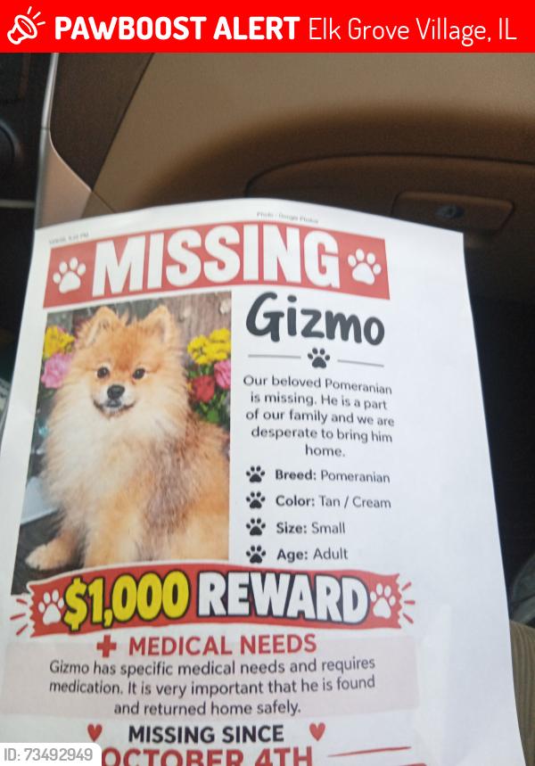 Lost Male Dog last seen Elmhurst and touhy ave, Elk Grove Village, IL 60007