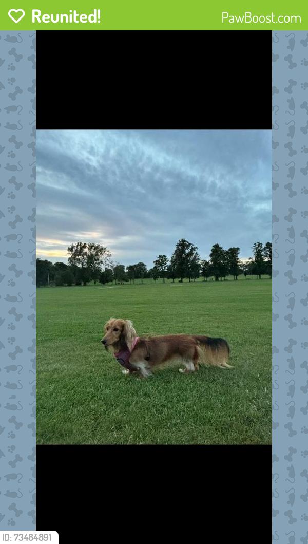 Reunited Female Dog last seen India street, Edinburgh, Scotland EH4 1PQ