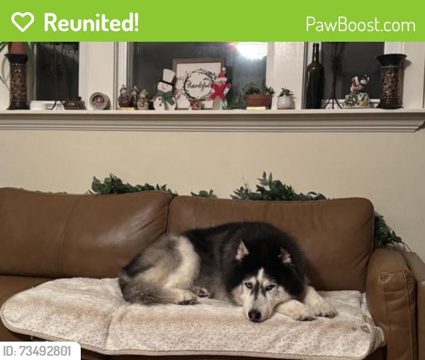 Reunited Male Dog last seen B St, San Diego, CA, USA, San Diego, CA 92101