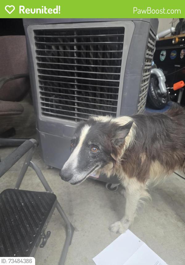 Reunited Unknown Dog last seen North Tarrant/ Bursey Ranch, Keller, TX 76248