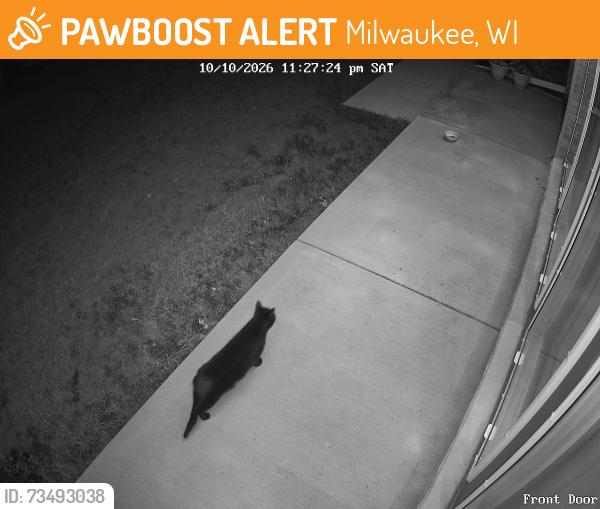 Found/Stray Unknown Cat last seen Wedgewood Park, Milwaukee, WI 53220