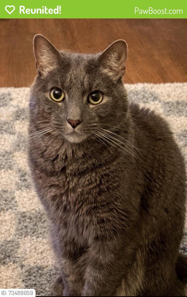 Reunited Male Cat last seen Near Briarcliff Ave unit d5, Oak Ridge, TN 37830, USA, Oak Ridge, TN 37830