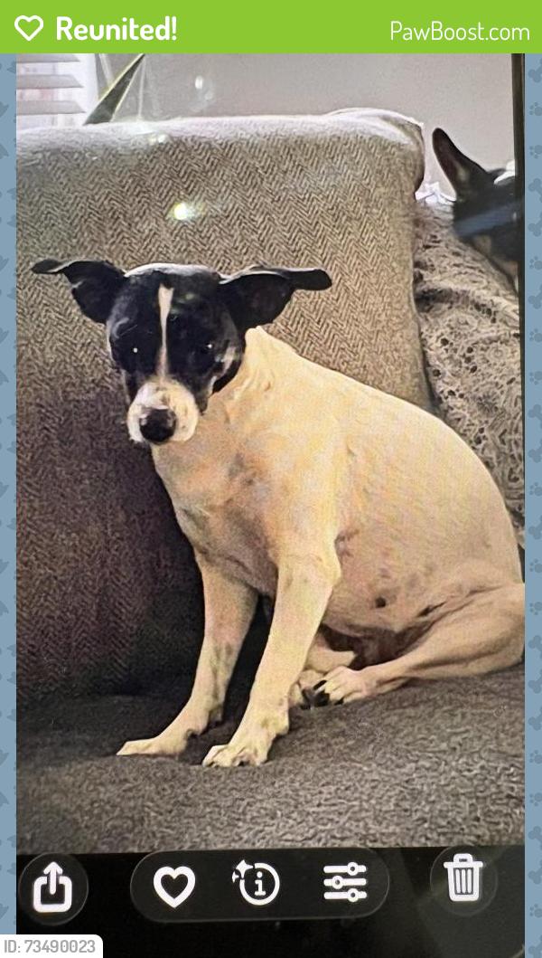 Reunited Female Dog last seen SE Lennard Rd, Port St. Lucie, FL 34952, USA, Port St. Lucie, FL 34952