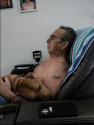 Reunited Male Dog last seen Bianca, Palm Bay, FL 32905