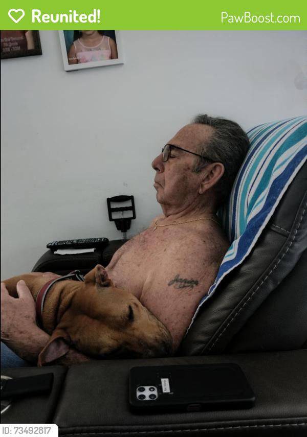 Reunited Male Dog last seen Bianca, Palm Bay, FL 32905