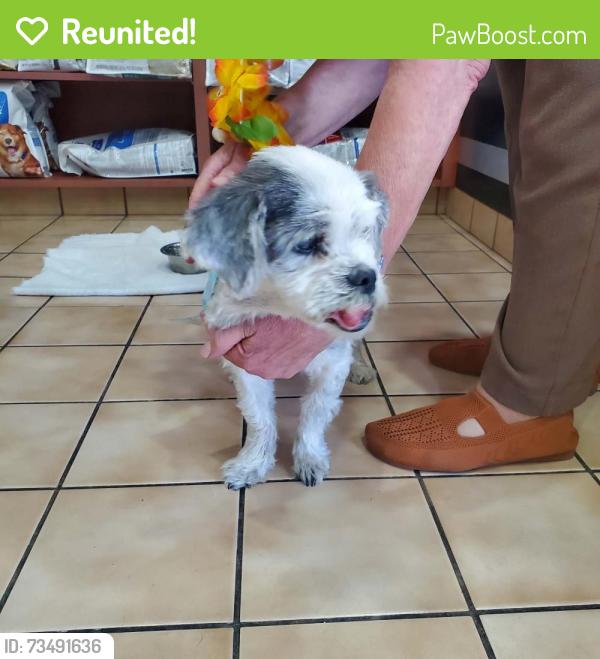 Reunited Male Dog last seen Highlands Park, Pittsburg, CA 94509