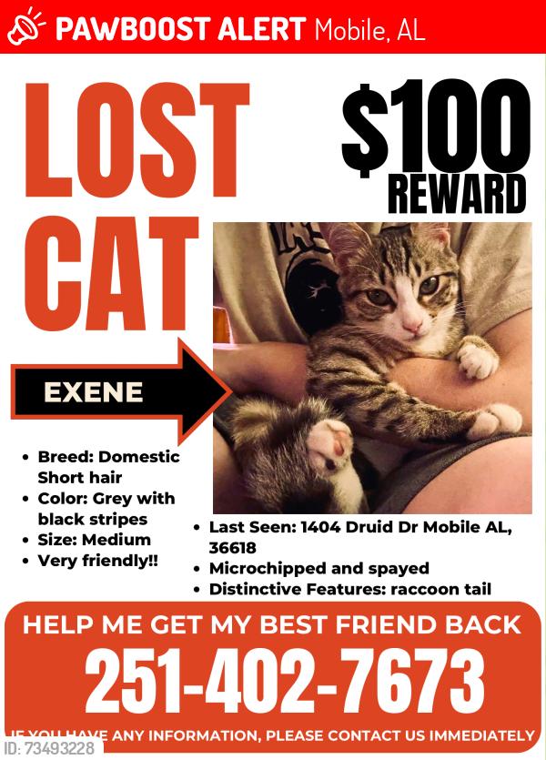 Lost Female Cat last seen Overlook RD, Mobile, AL 36618
