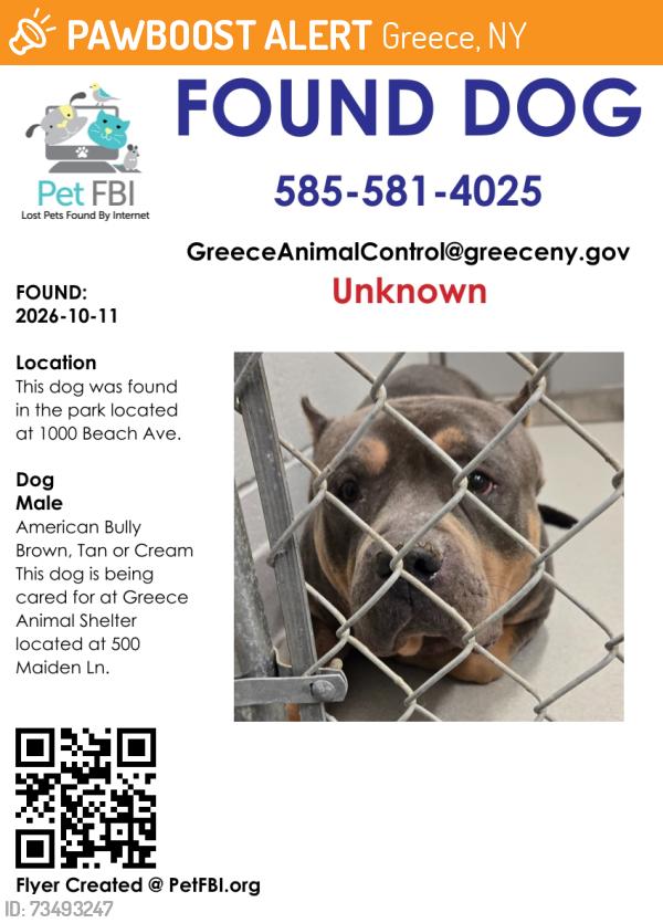 Found/Stray Male Dog last seen Near Beach Ave, Greece, NY 14612