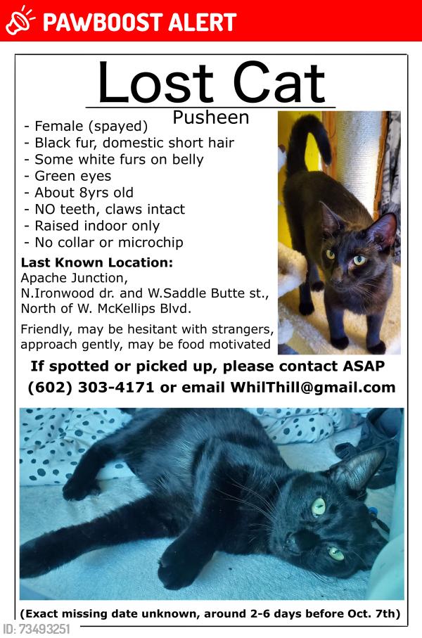 Lost Female Cat last seen Ironwood dr. and Saddle Butte st., north of North Mckellips blvd., Apache Junction, AZ 85120