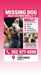 Lost Female Dog last seen Morning drive, Lutz, FL 33559