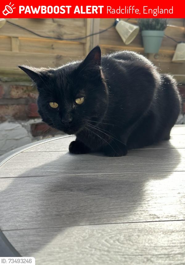 Lost Male Cat last seen Outwood, Radcliffe, England 