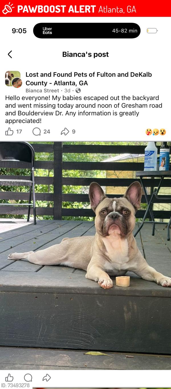 Lost Male Dog last seen Gresham rd autozone gresham rd bigelows yellow finch rd, candler rd, flatshoals, bigelows gresham, Atlanta, GA 30316