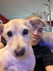Reunited Male Dog last seen Belmeade & Timberleaf, Carrollton, TX 75006